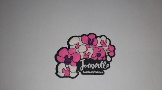 Imã - Flores - Joinville - SC